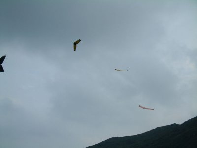 nƵ