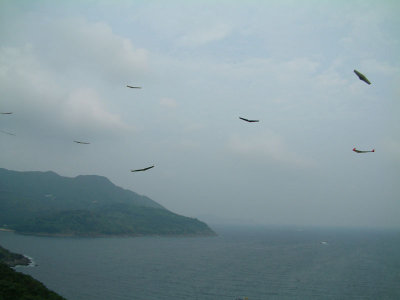 nƵ.