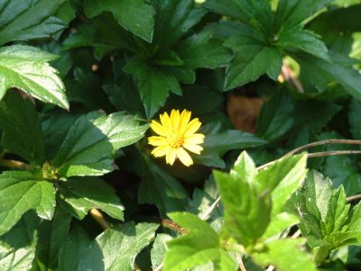 DSCF0014.jpg
