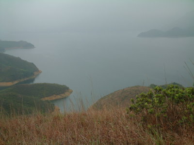 W.3.JPG