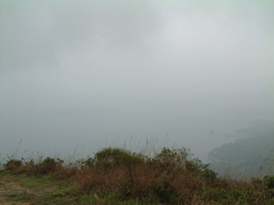 W.JPG