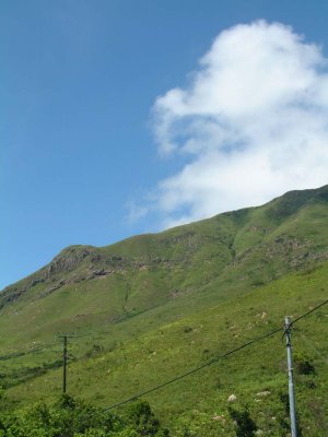 DSCF0040.jpg