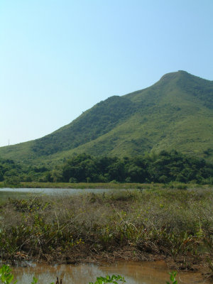 DSCF0035.jpg