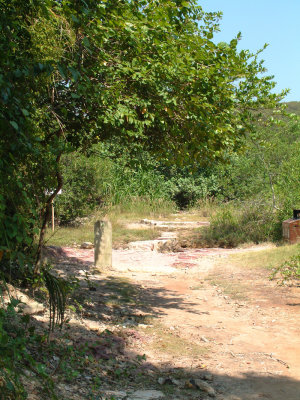DSCF0039.jpg