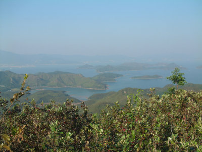 DSCF0050.jpg