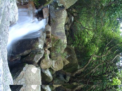 _SCF0072.jpg