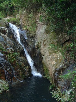_SCF0077.jpg
