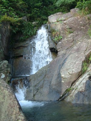 _SCF0078.jpg