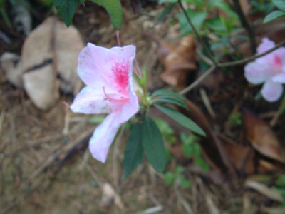 DSCF0081.jpg