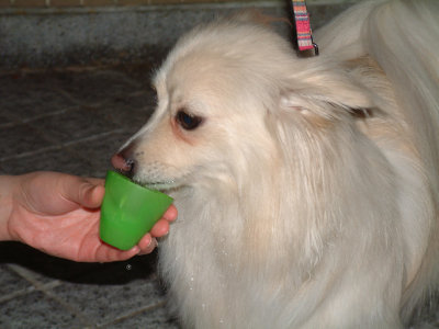DSCF0088.jpg