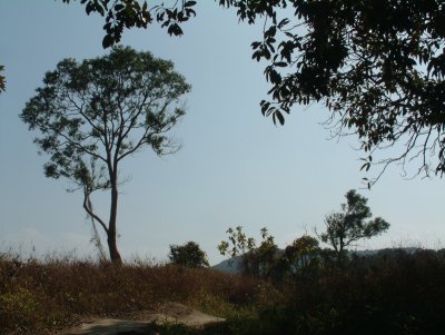 DSCF0032.jpg