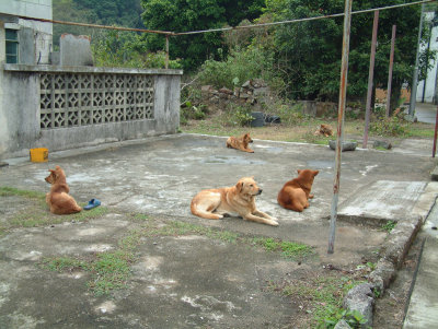 DSCF0024.jpg