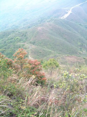 DSCF0041.jpg