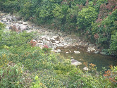 DSCF0052.jpg