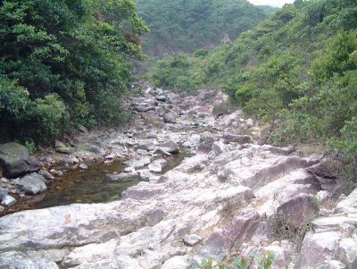 DSCF0053.jpg