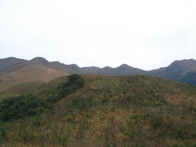DSC00894.jpg