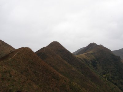 DSC00910.jpg