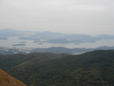 DSC00916.jpg