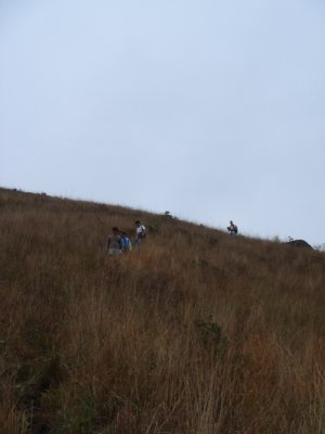 DSC00972.jpg