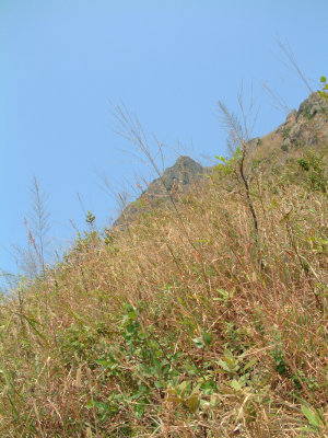 DSCF0057.jpg