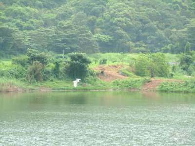 DSCF0008.jpg