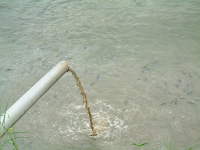 DSCF0018.jpg