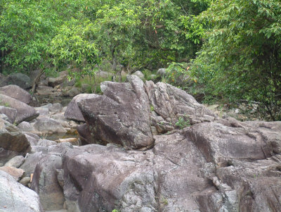 DSCF0030.jpg