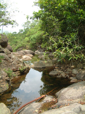 DSCF0034.jpg