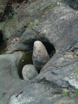 DSCF0063.jpg