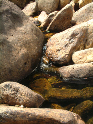 DSCF0078.jpg