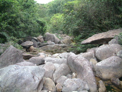 DSCF0090.jpg