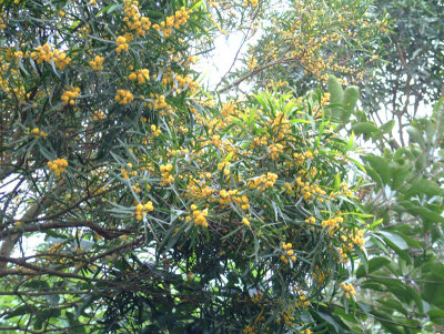 DSCF0098.jpg