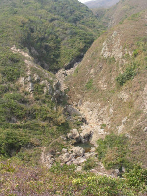 shorttsui 022.jpg