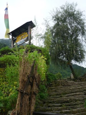 g1/46/358246/3/117698489.OlbzIZOR.jpg