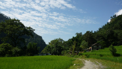 g1/46/358246/3/117734899.Hd1Ps3BT.jpg