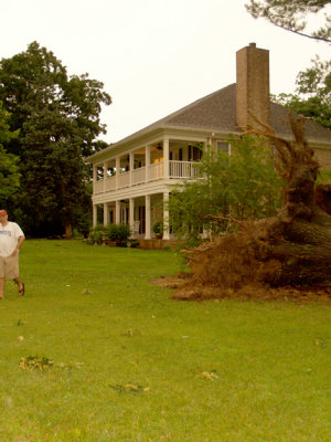 House - 6-12-09 tree storm damage