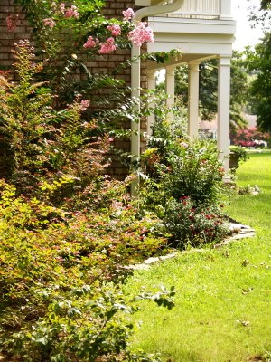 House - flower beds