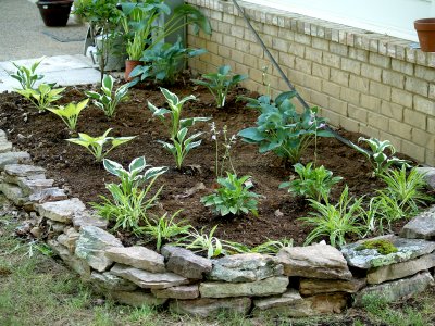 House - Hosta Bed