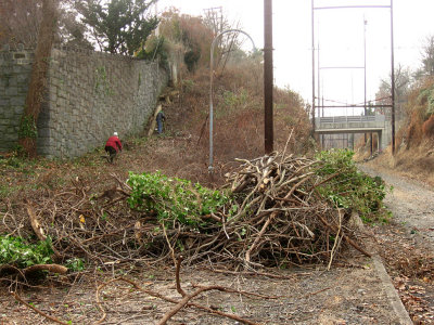 Winter Cleanup along the Cynwyd Heritage Trail