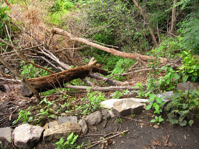 Debris downhill from the path