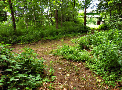 The path meets the road up to the expressway.  We turn left.