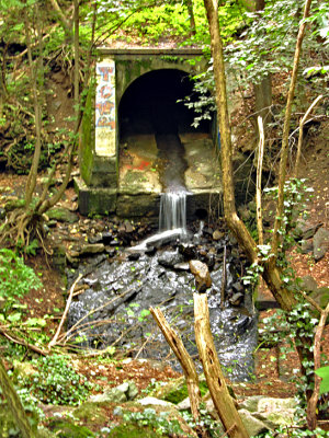 g1/46/38946/3/114630858.fupZGFNp.jpg
