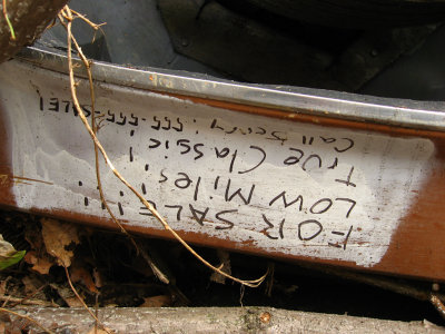 g1/46/38946/3/97265335.lzBdFFmz.jpg