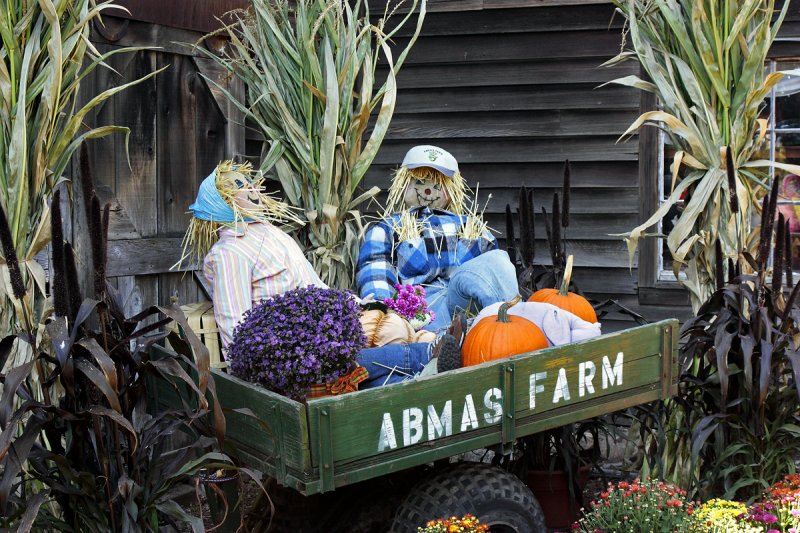 Abmas Farm, #6