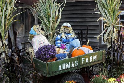 Abma's Farm, #6
