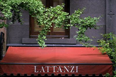 Lattanzi.JPG