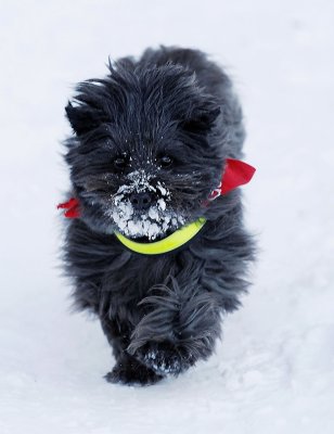 IMG_1825_DxO_raw copy.jpg