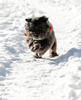 IMG_1800_DxO_raw copy.jpg