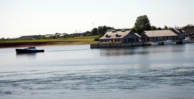 IMG_2411_DxO_raw copy.jpg