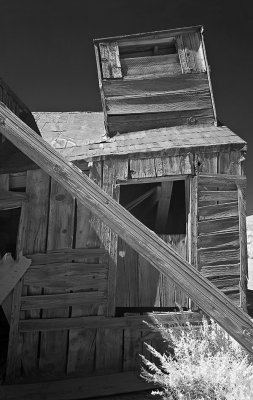 Bodie Texture